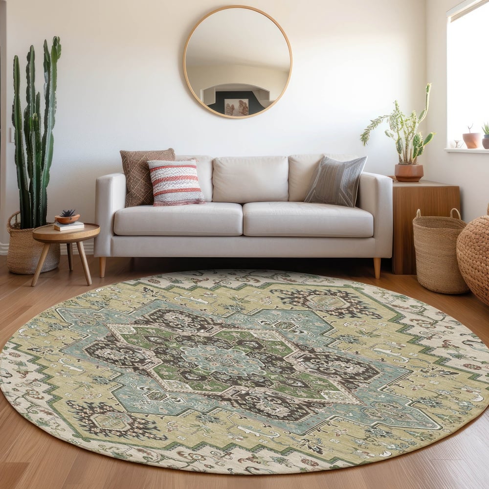 Machine Washable Indoor/ Outdoor Persian Traditional Chantille Rug