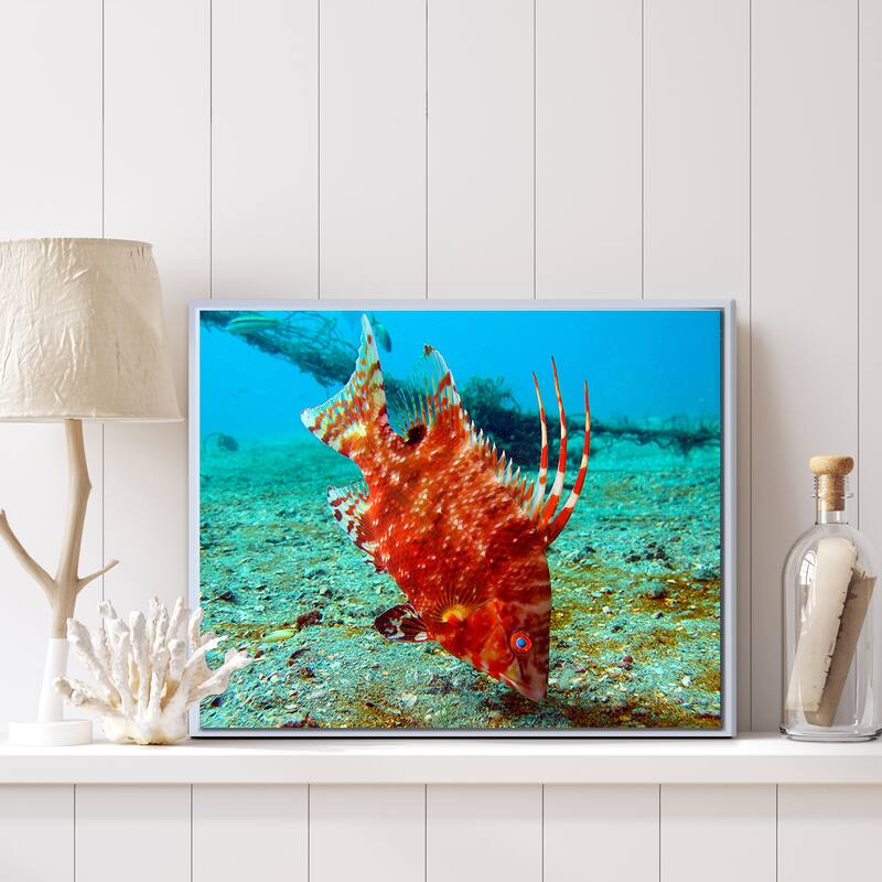 Ready2HangArt 'Sealife' Framed Canvas Wall Art