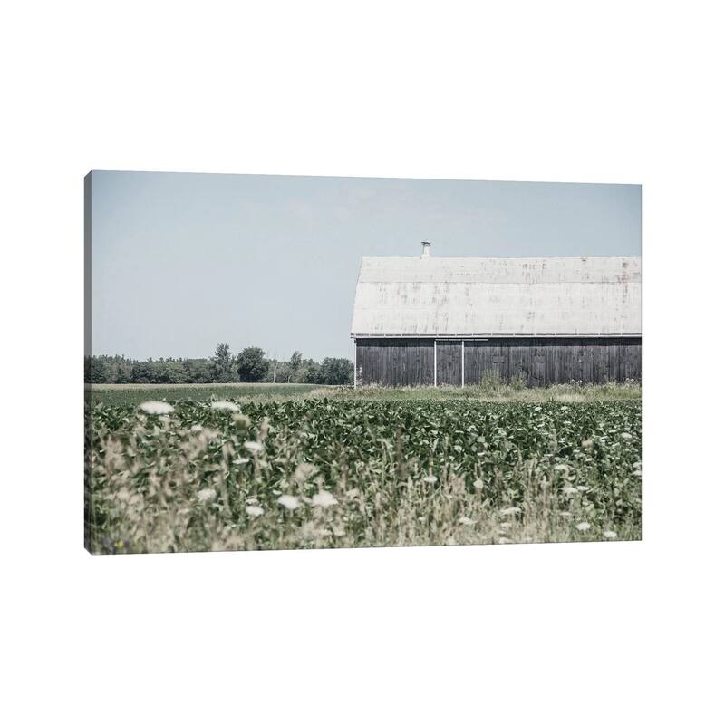 iCanvas "Weathered I" by Elizabeth Urquhart Canvas Print