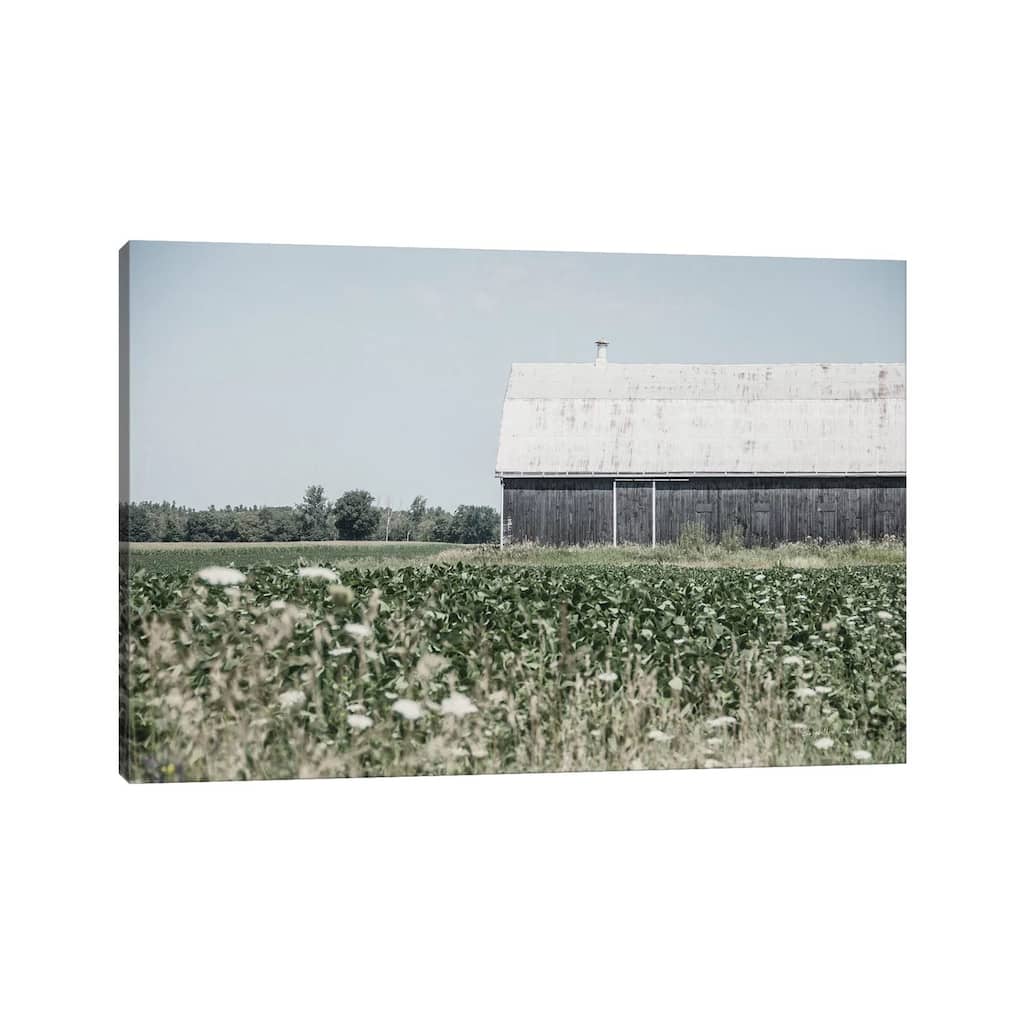 iCanvas "Weathered I" by Elizabeth Urquhart Canvas Print