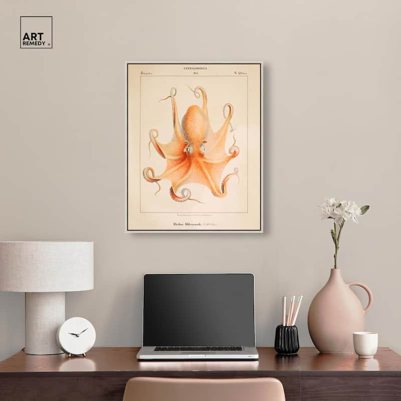 Verany The Octopus 1815 II Canvas by Art Remedy