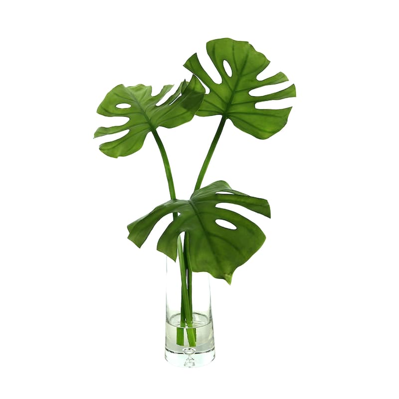 Organic Modern Split Philo Arranged in a Clear Glass Vase - Green