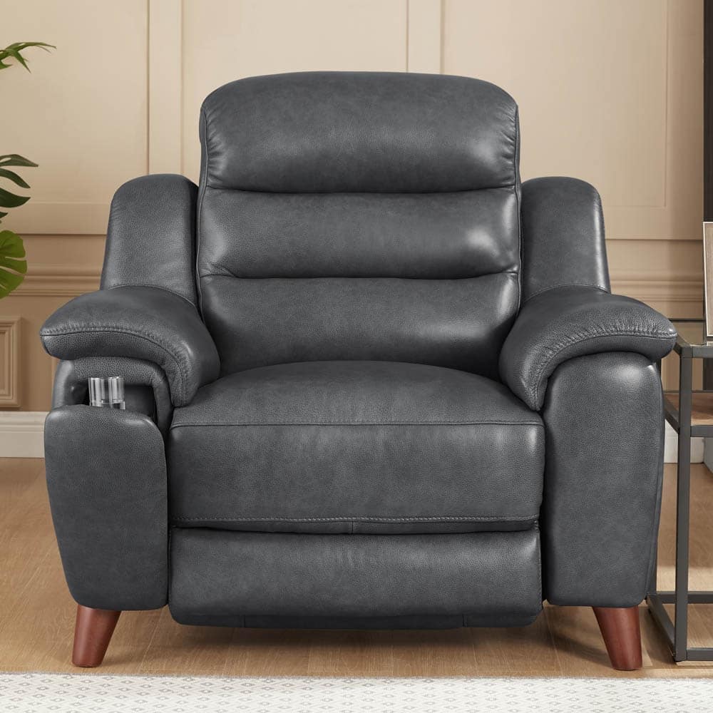 Hydeline Dream Top Grain Leather Power Headrest Zero Gravity Recliner