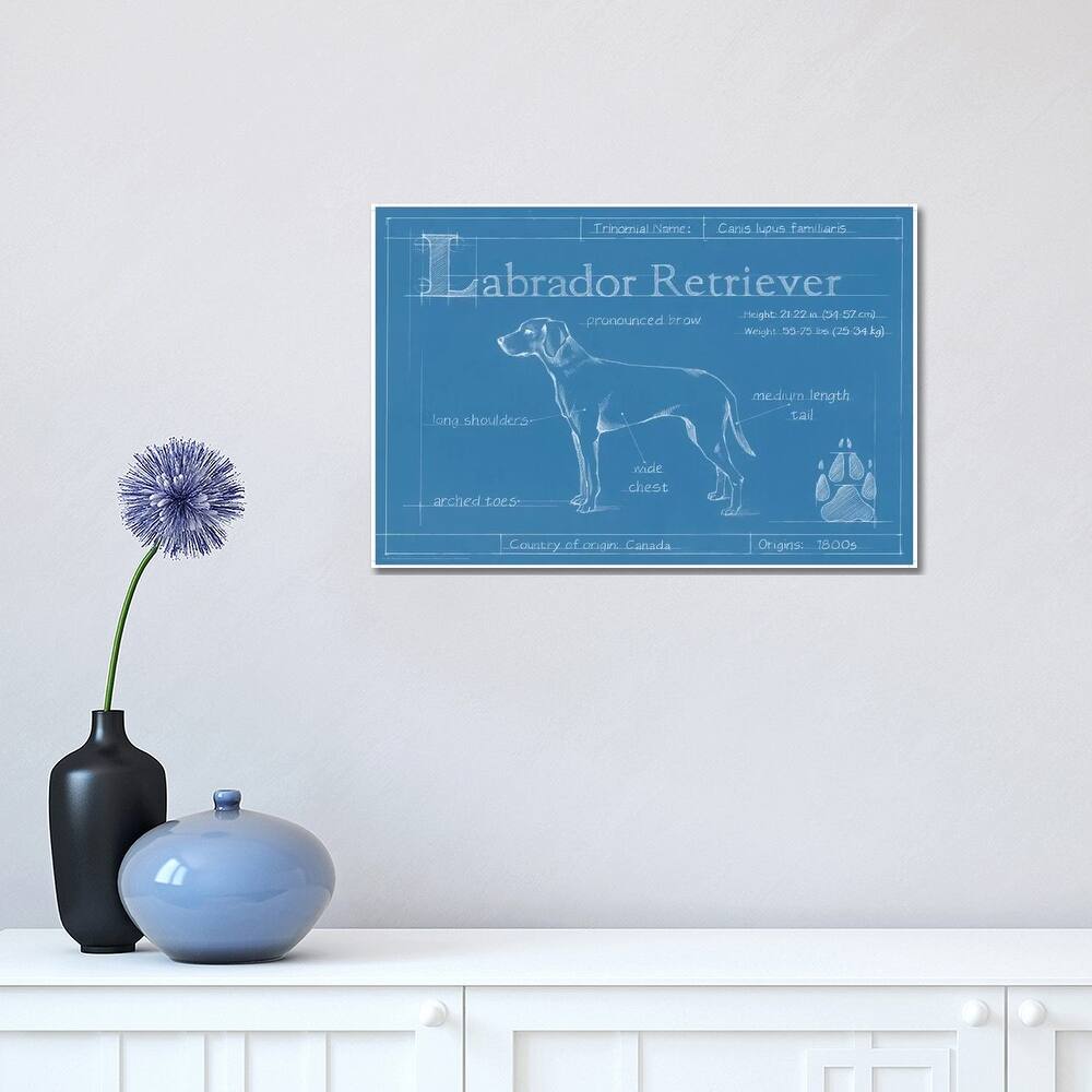 iCanvas "Blueprint Of A Labrador Retriever" by Ethan Harper Canvas Print