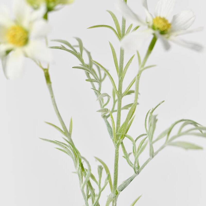Silk Decorative Artificial Starry Sky Cosmos(Pack of 1 Branch)