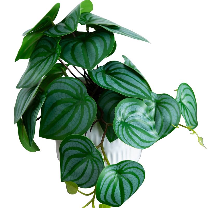 Mixed Artificial Plants with Ceramic Planter - 8' - Green - Set of 3