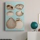 preview thumbnail 7 of 6, Sepia & Aqua Shells IX Premium Gallery Wrapped Canvas - Ready to Hang