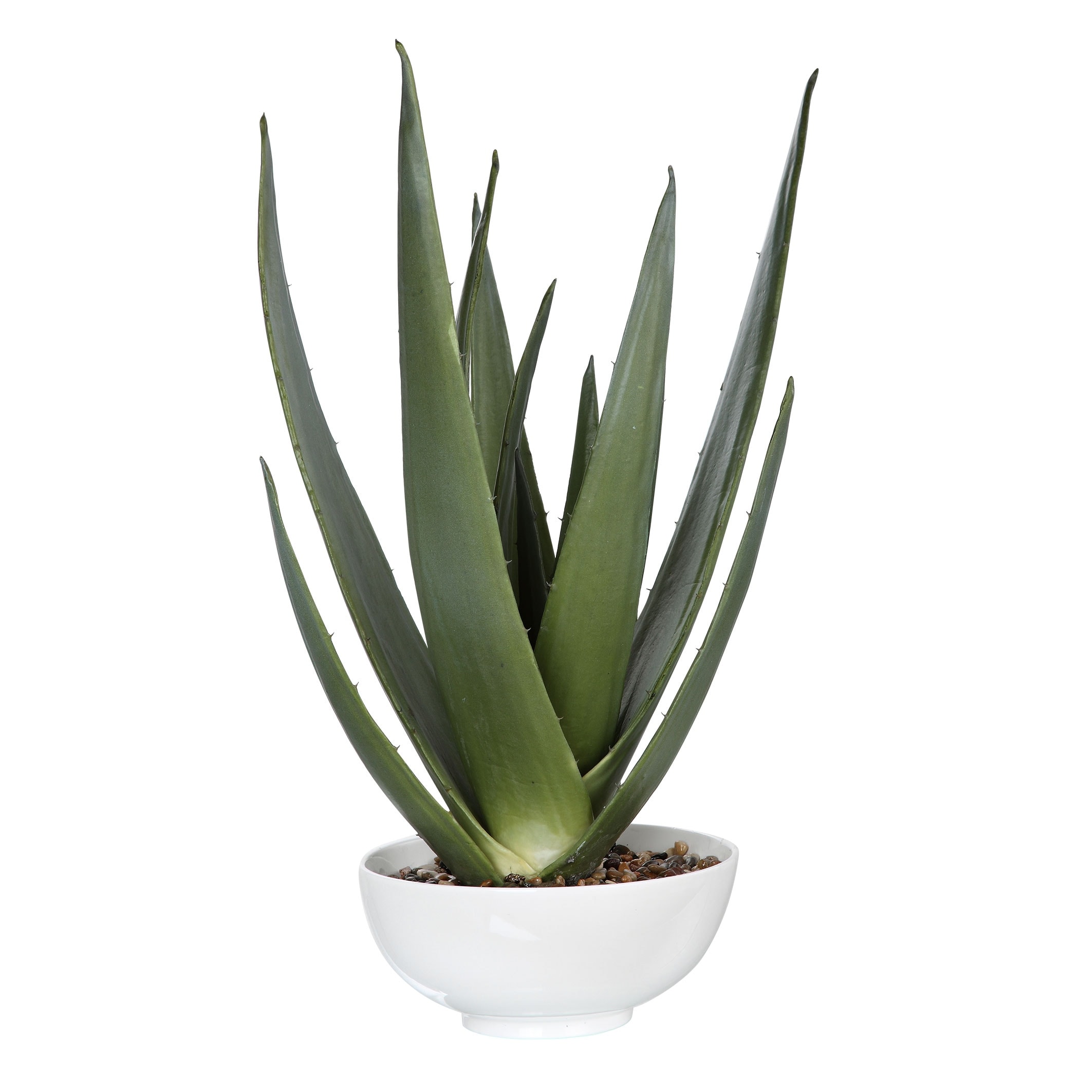 Uttermost Evarado Aloe Planter