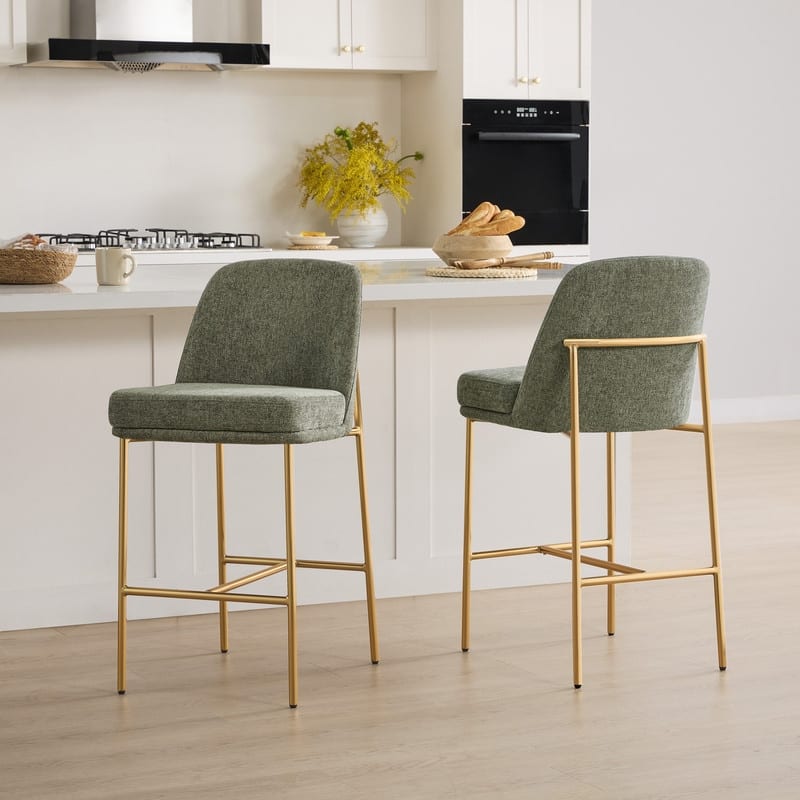 Evelyn Modern 27 inch Counter Height Bar Stool Set of 2