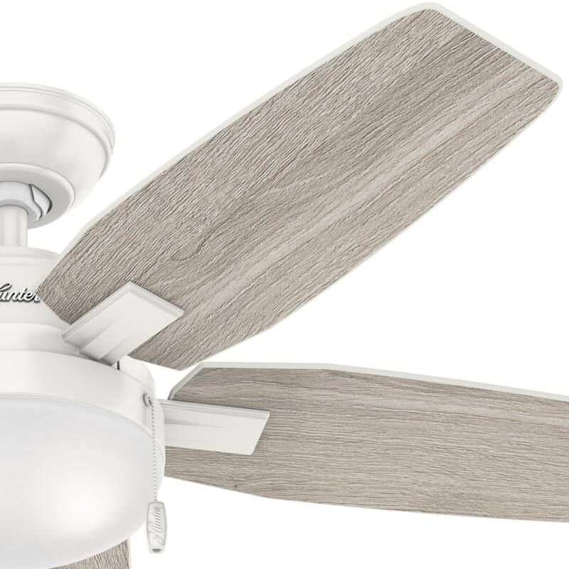 Hunter Morgantown Ceiling Fan with LED Light, Pull Chain - Transitional, Contemporary