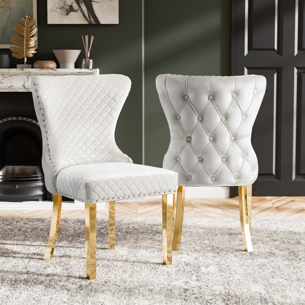 Furniture of America Thaddeus Glam Fabric Dining Chair with Nailhead Trim (Set of 2)