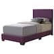 Option Purple