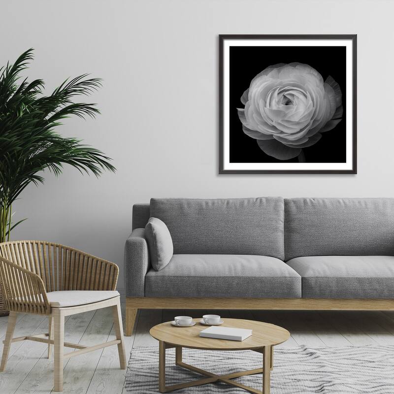 "Ranunculus" Framed Print Wall Art by Lotte Gronkjar