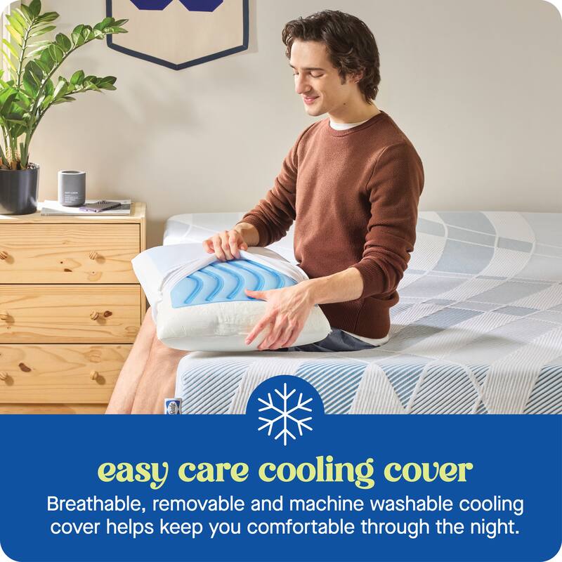 Sealy Dreamlife Memory Foam Gel Pillow