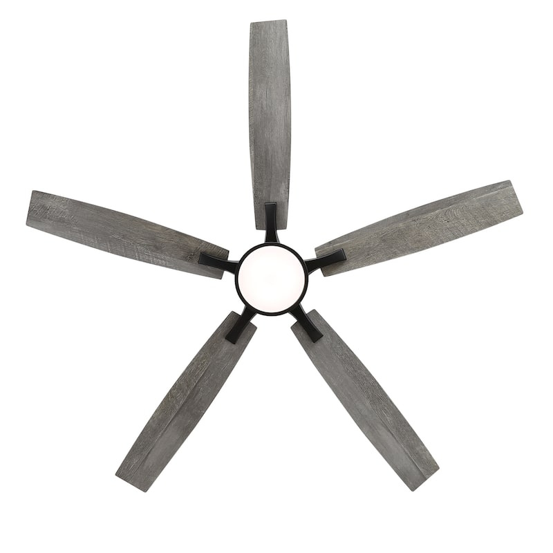 65 Inch Black LED Ceiling Fan with Light and Remote(5-Blade)