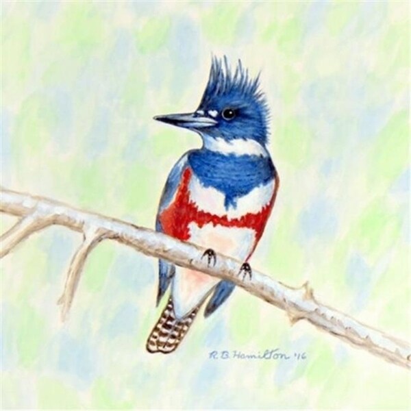 Betsy Drake DM363G Kingfisher Door Mat Large