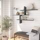 Webster Modern Wall Shelf