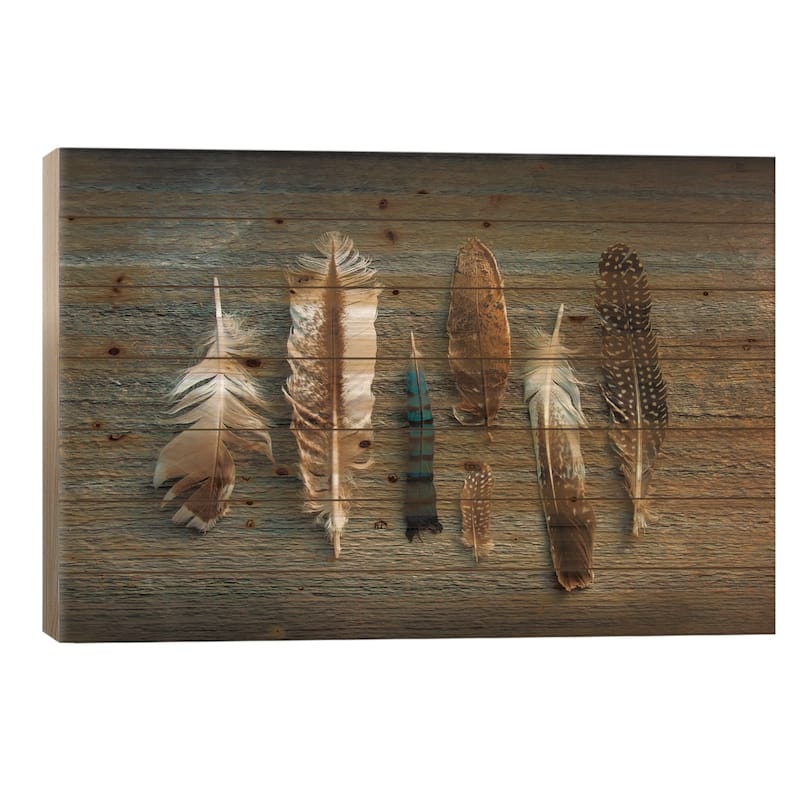Feather Collection I Print On Wood by Sue Schlabach - Multi-Color - 18x26x1.5