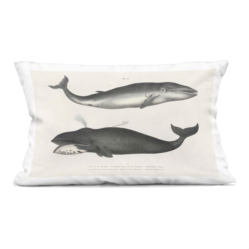 Stupell Vintage Whale Study Diagrams Decorative Printed Throw Pillow Design by Phillipa Katz - Accent - Polyester - Grey - Single