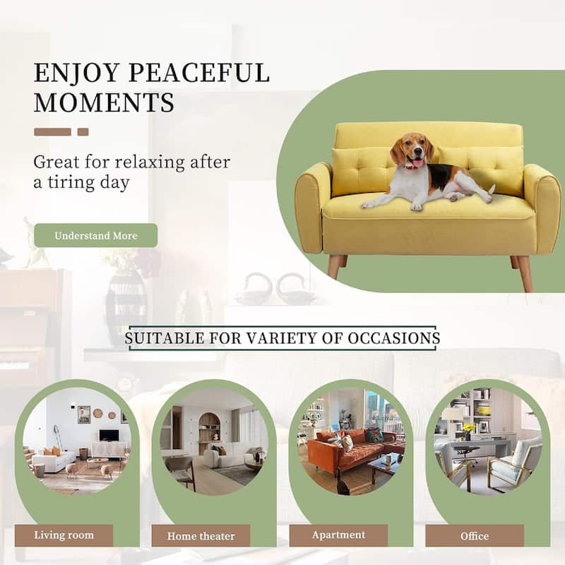 Futzca 47" Modern Loveseat Sofa