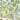Daisy Bennett Designs Mystical Garden Premium Matte Non-Woven Peel and Stick Wallpaper - 20.5 in. W x 18 ft. L