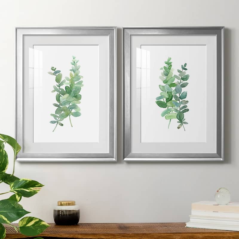 Eucalyptus I Premium Framed Print - Ready to Hang
