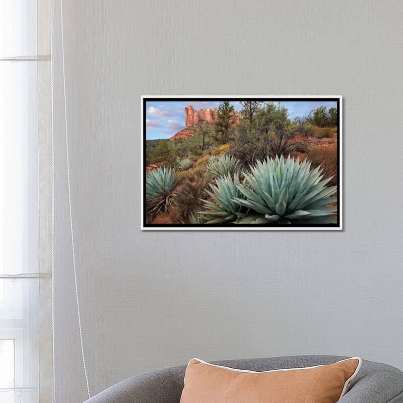 iCanvas "Agave And Coffee Pot Rock Near Sedona, Arizona" by Tim Fitzharris Framed Canvas Print