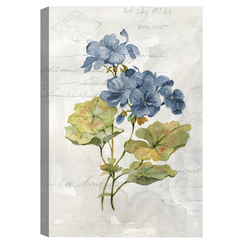 Blue Linen Geranium by Carol Robinson Canvas Art Print