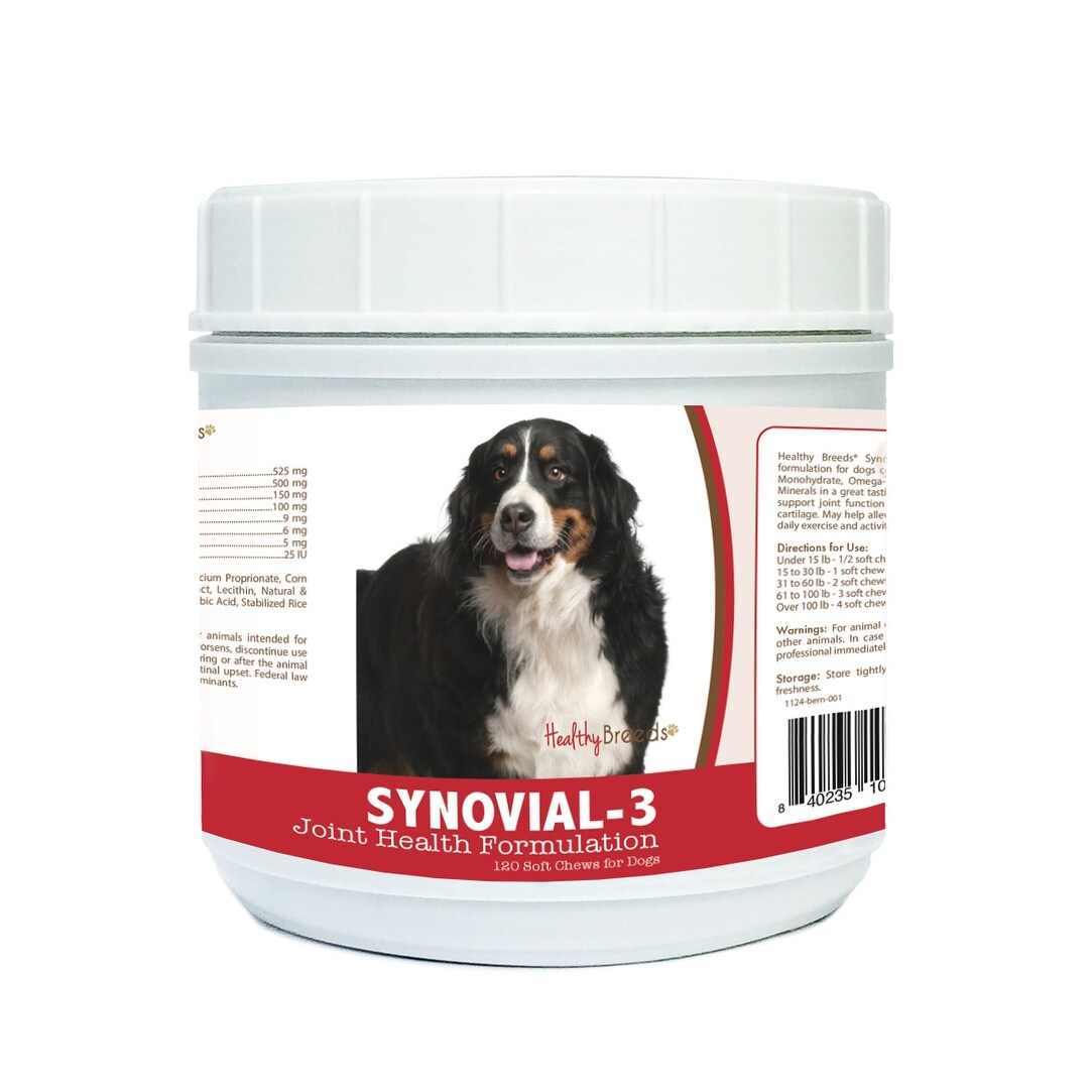 bernese mountain dog supplies