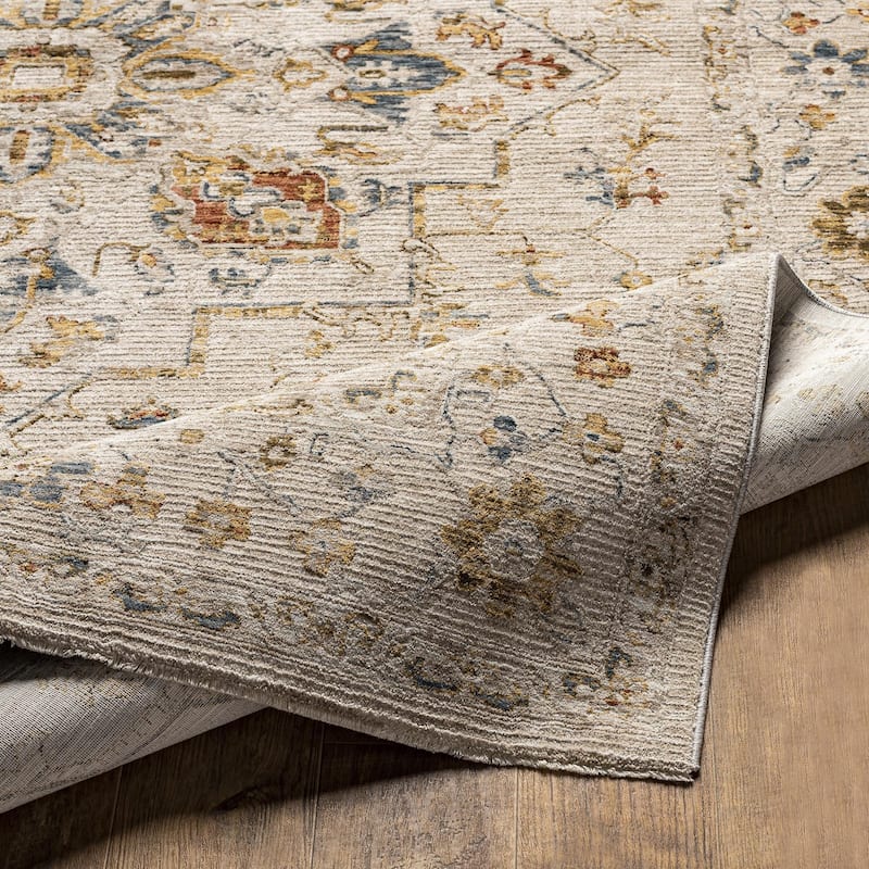 Tereza Updated Traditional Medallion Area Rug