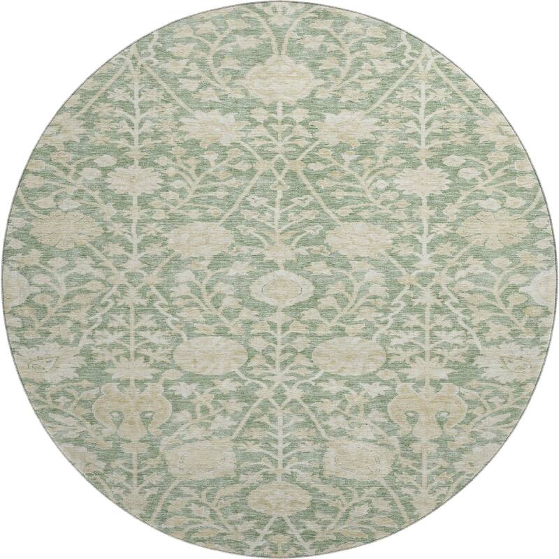 Premium Washable Super Soft Vintage Traditional Mayfield Rug