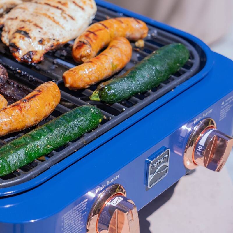 Kenmore 2-Burner Retro Portable Gas Grill