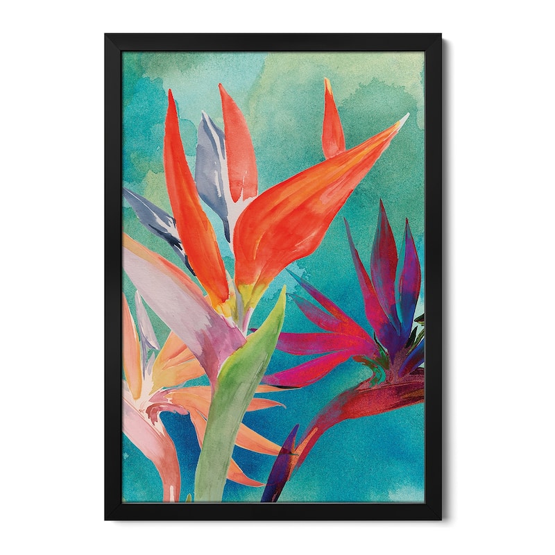 Vivid Birds of Paradise I Premium Framed Poster by Jennifer Paxton Parker - Black - 16x24x1