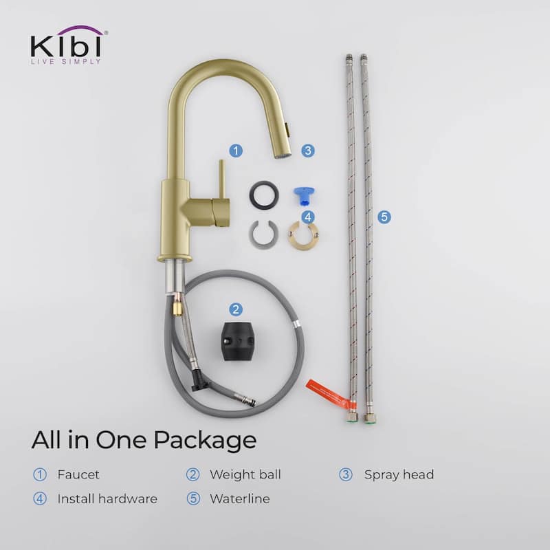 Single-Hole Pull-Down Kitchen Faucet with Sprayer and Magnetic Docking