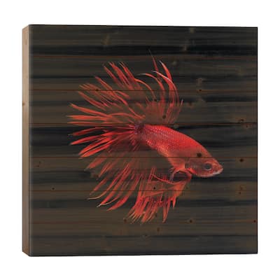 Red Betta Fish Print On Wood by PhotoINC Studio - Multi-Color