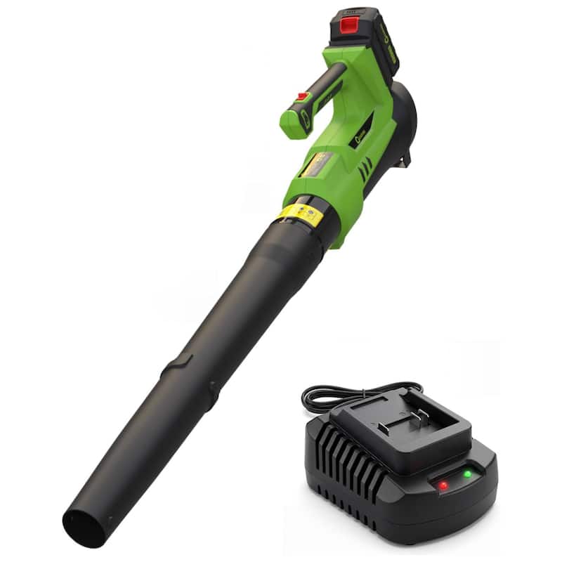 550CFM/ 130MPH Cordless Leaf Blower, 6 Variable Speed for Lawn Care, Yard, Garden, Driveway - Green