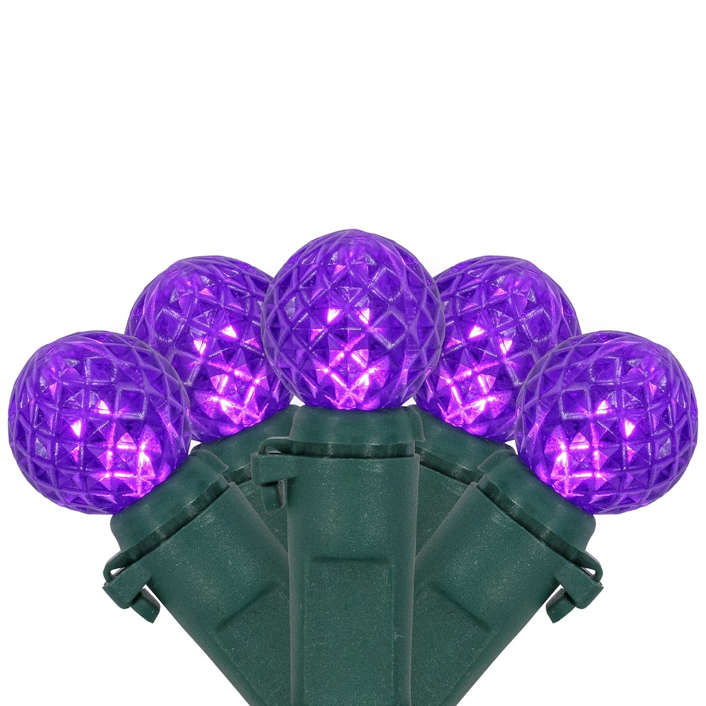 LED G12 Berry Mini Christmas Lights - Purple - 15.9' - Green Wire - 50ct - 15.9ft