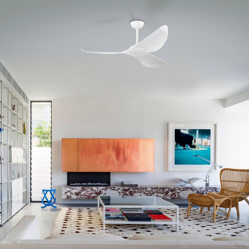 Duncan Modern 3 Bladed Ceiling Fan with Remote
