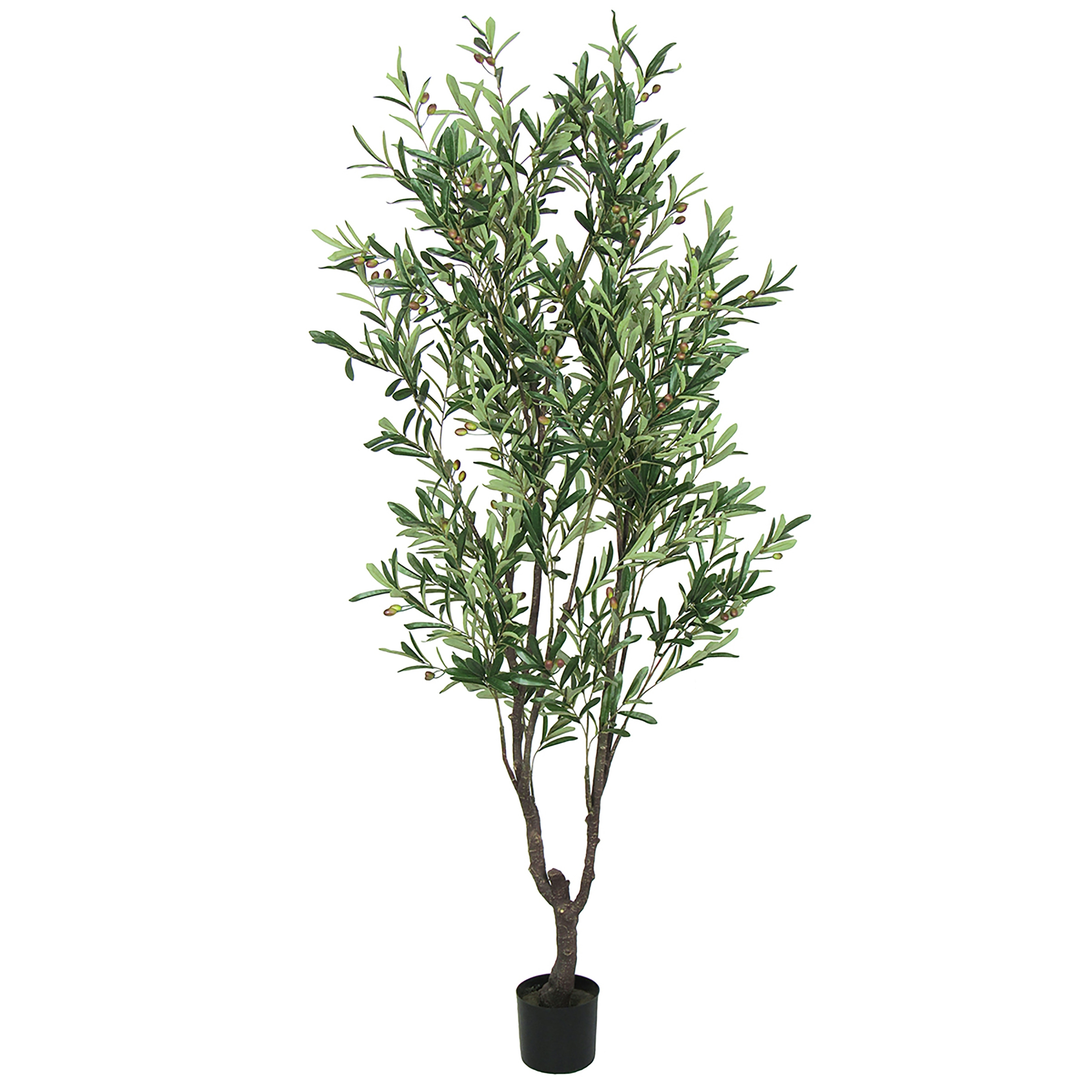 6.5ft Artificial Olive Tree Plant in Black Pot - 78" H x 35" W x 35" DP