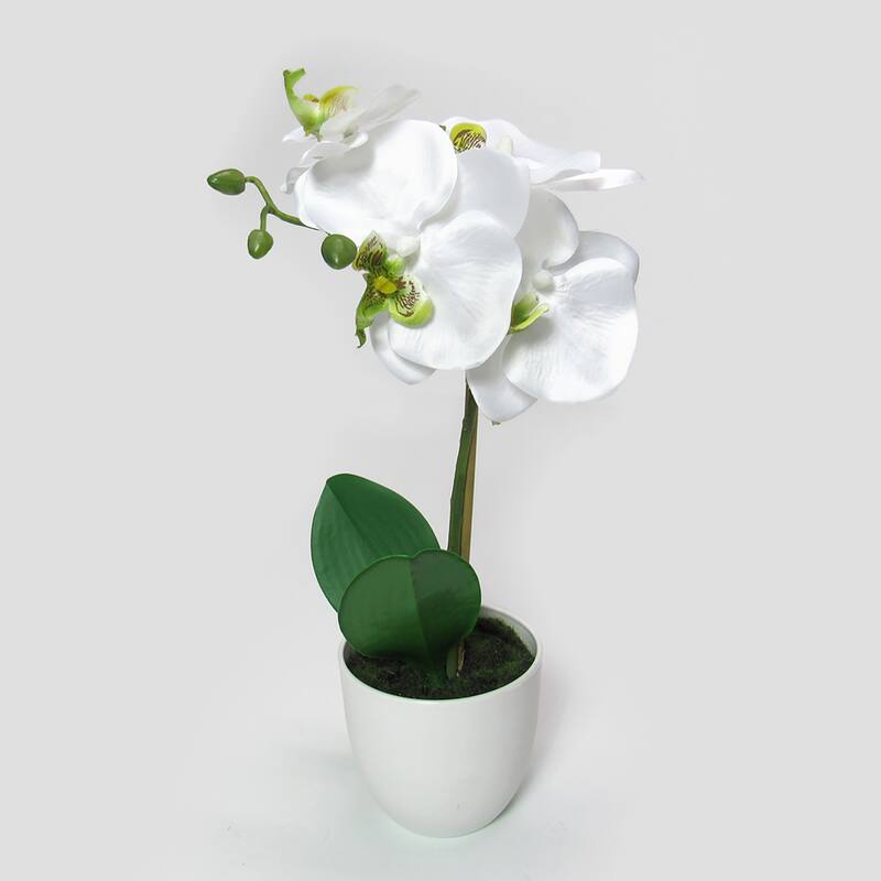 Artificial Phalaenopsis Orchid Flower Arrangement in White Pot 13in - 13" H x 7.5" W x 5" DP - White