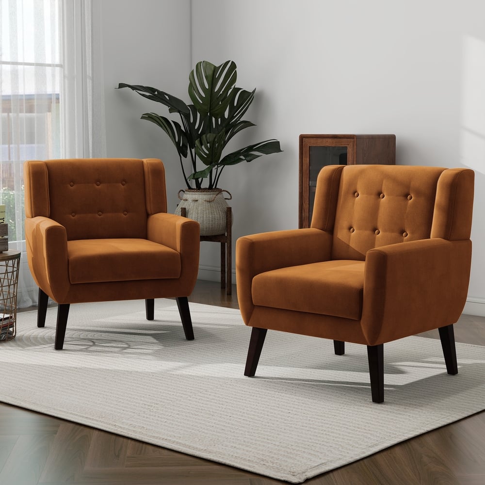 Set of 2 Velvet Upholstered Accent Chair (Set of 2)
