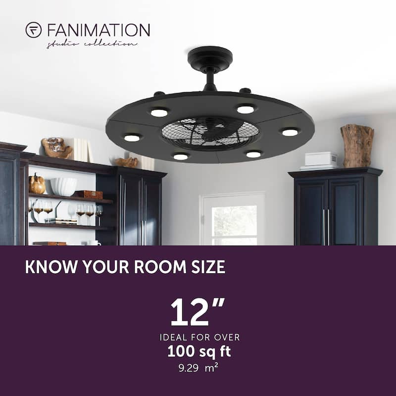 Fanimation Studio Collection Dex 12 inch Black Fandelier Ceiling Fan With LED Lights and Remote