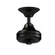 preview thumbnail 1 of 13, Fanimation Spitfire Indoor/Outdoor Ceiling Fan Motor with Remote - Black