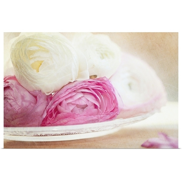 "Pink and white ranunculus flowers in glass plate." Poster Print