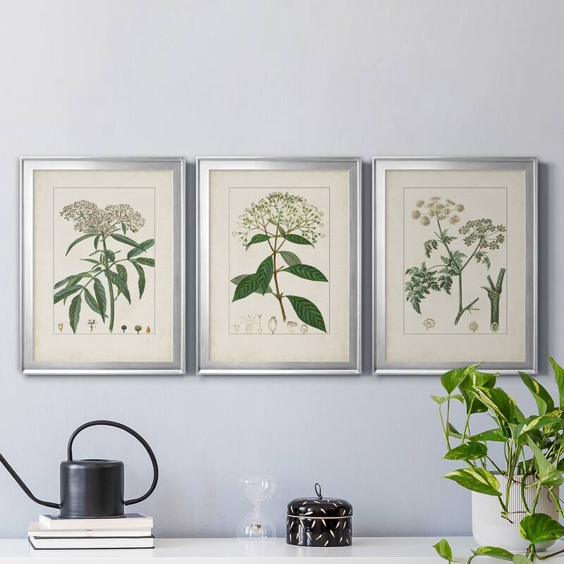 Antique Turpin Botanical VII Premium Framed Canvas - Ready to Hang - Multi-Color