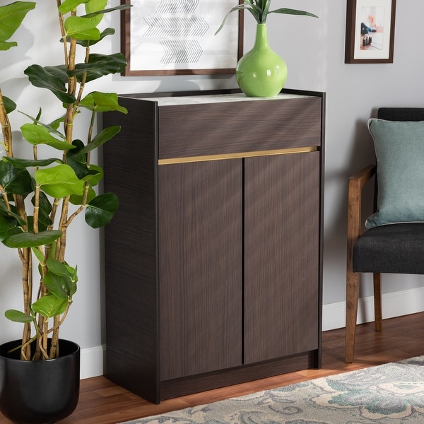 Walker Modern Dark Brown and Gold Finished Wood Shoe Cabinet On