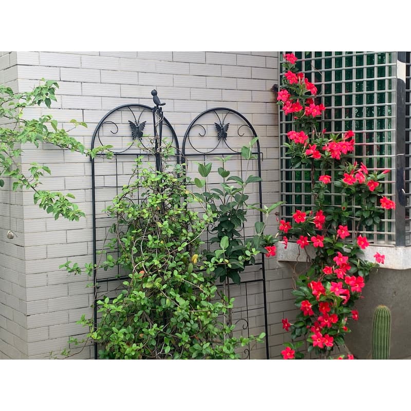 Metal Garden Trellis, 2 Pack Metal Trellis for Climbing Plants, Indoor/Outdoor Plant Trellis, Lawn Garden Fence Decor Screen
