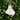 Mary and Jesus Ceramic Christmas Ornament - 3" - White