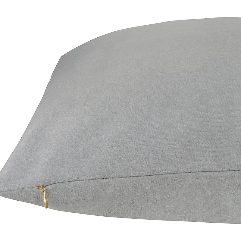 Delara Pack of 1 Velvet Decorative Throw Pillow Cover 20x20 Inches, Cushion Cover, Soft and Breathable Fabric, Hidden Zipper