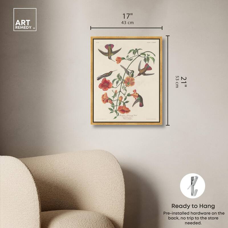 Humming Bird 1834 Canvas by Art Remedy